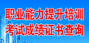 職業(yè)能力提升培訓考試成績證書查詢